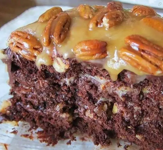 Gâteau Turtle Facile : Un Trésor de Douceurs